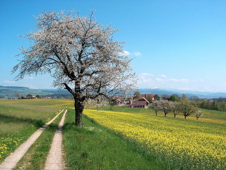 Наурыздың қай күні қауіпті?