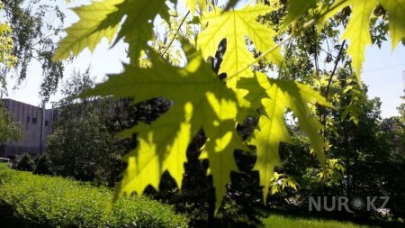 Бүгін Қазақстанның екі өңірінде 47 градусқа дейін аптап ыстық болады